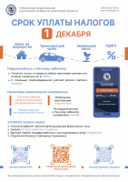 Срок уплаты налогов 1 декабря 2026 года